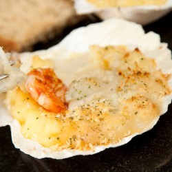 a1. menu de la semaine - Coquille St-Jacques et salade