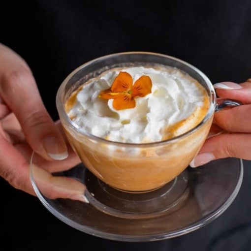 Soupe - Cappuccino de homard (congelé)